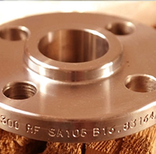 Cuni 90/10 Copper Nickel Forged Flanges
