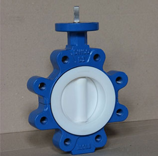 API ANSI DIN JIS Cast Iron Stainless Steel Wafer Butterfly Valve with PTFE Seat