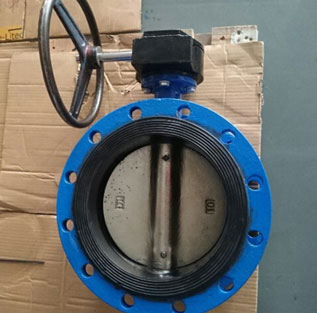 Stainless Valve D71f4-10/16p Worm Gear Butterfly Valve