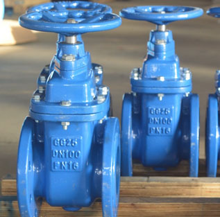 Resilient Seated Non-Rising Stem Gate Valve