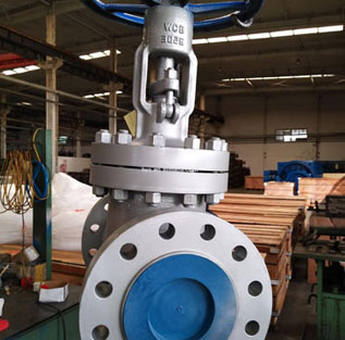 Gate Valve Nickel 200 Flanged FF Ends 150lb to 2500lb