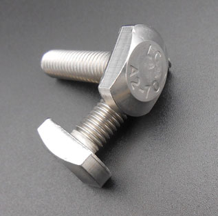 304 Stainless Steel M8 T Head Bolt