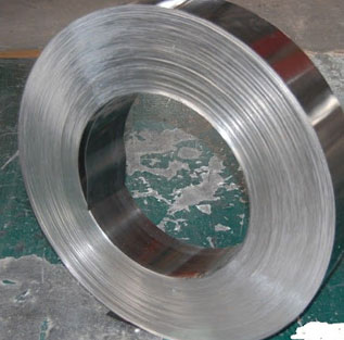 Stainless Steel 317l Strips