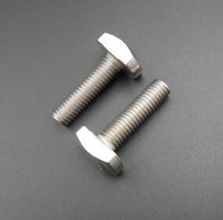 Stainless Steel T Head Bolt