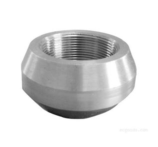 Alloy Steel Sockolet Price List