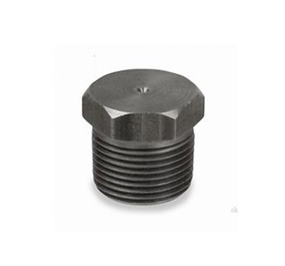 ASME B16.11 Hex Plug ASME B16.11 Screwed Hex Plug