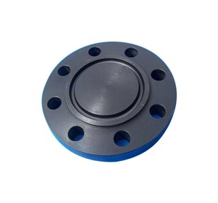 Carbon Steel Ring Type Joint Flanges