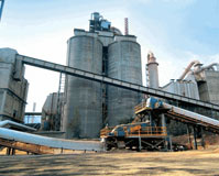 Falcon Cement Co