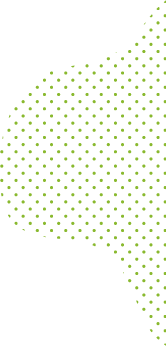 Shape 1